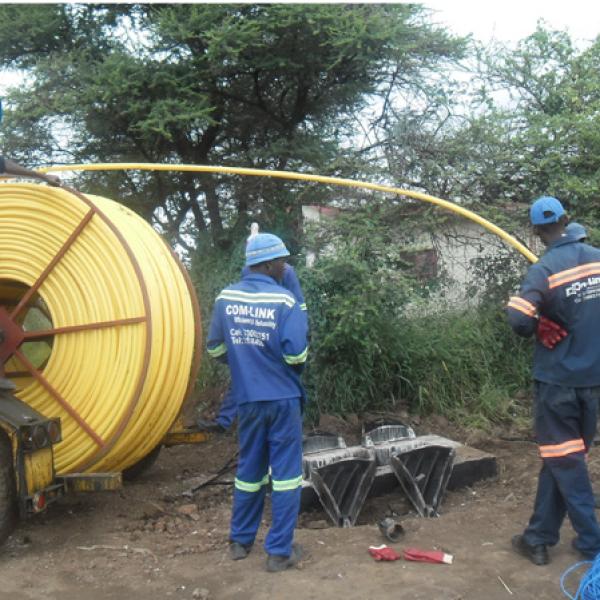 Francistown Laying black ducts